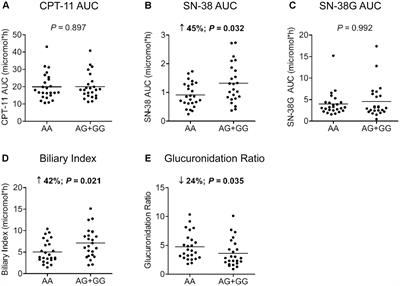 Improved Progression-Free Survival in Irinotecan-Treated Metastatic Colorectal Cancer Patients Carrying the HNF1A Coding Variant p.I27L